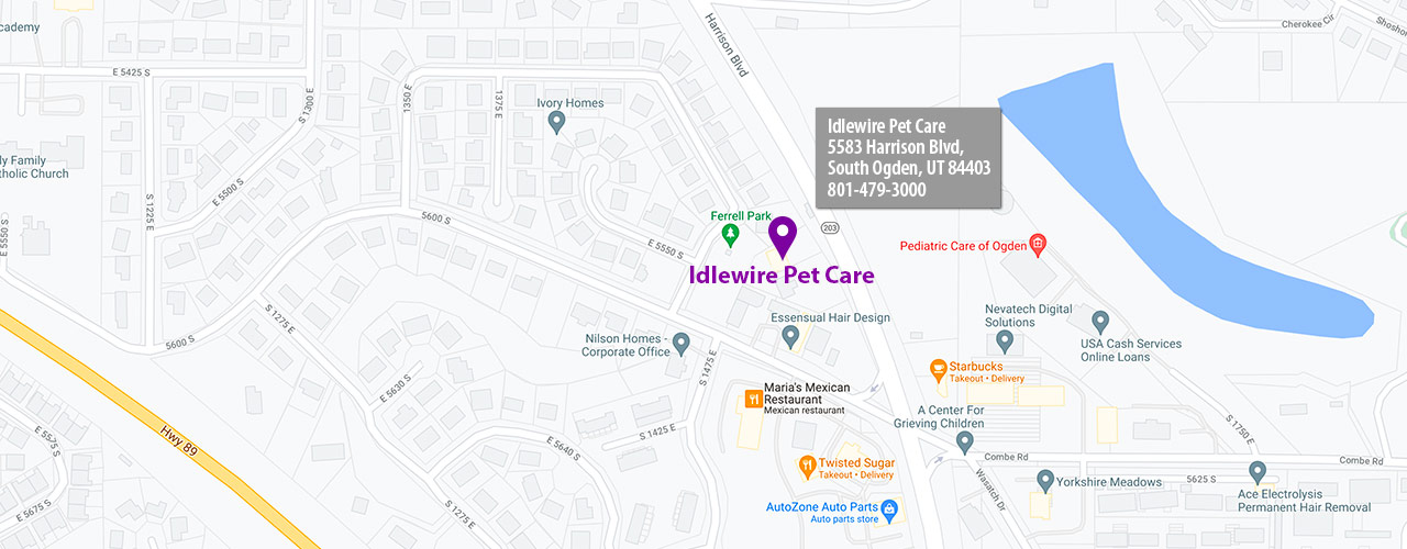 Idlewire Google Map location