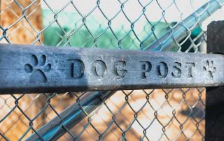 Dog Post