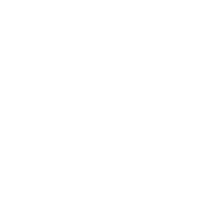 dog-play