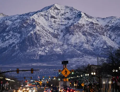 Moving to Ogden with a Dog: A Pet Parent’s Guide