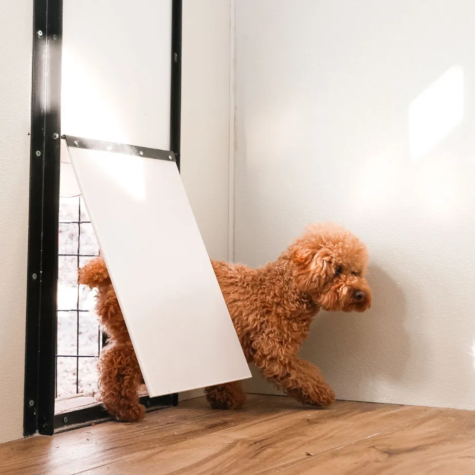 clifford cozy cabin dog entering small door