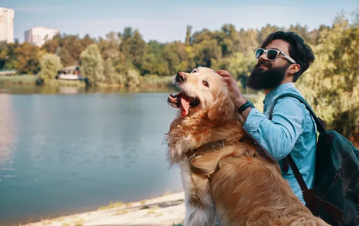 what you need to travel with a dog in 2026